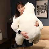 Fig your emotional shelter