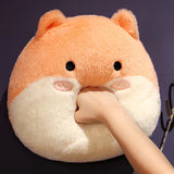 Sprout your brave friend