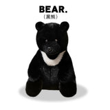 Kiwi your soft spoken voice