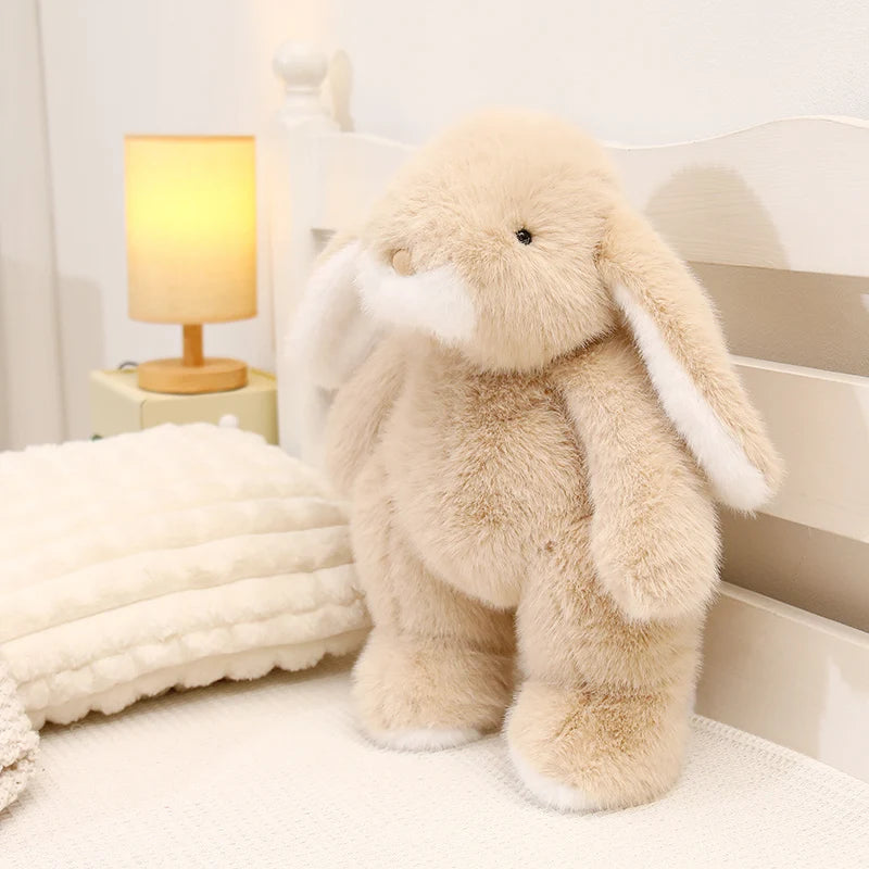 Cleo your quiet anchor