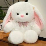 Luna your gentle companion