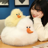 Fig your gentle companion