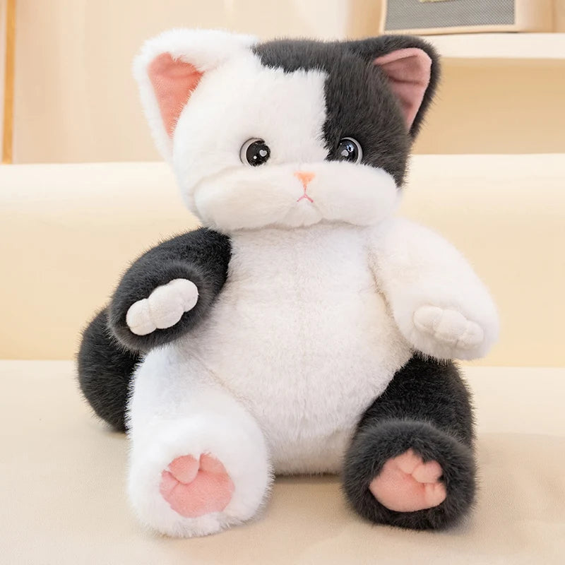 Daisy your quiet anchor