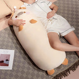 Nomi your gentle companion