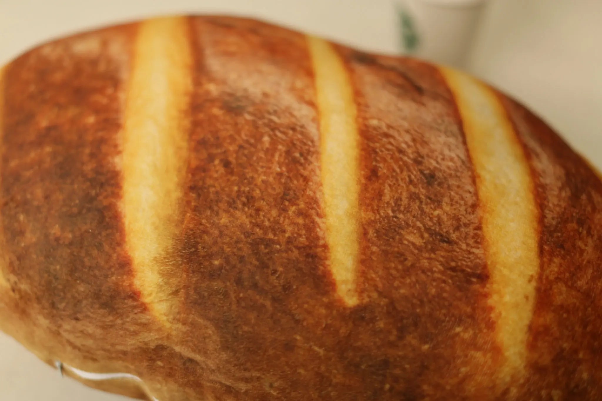 Pebble your gentle companion