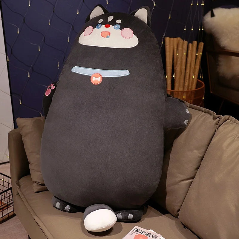 Cammie your secret keeper