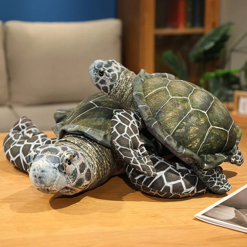 Ollie your steady light