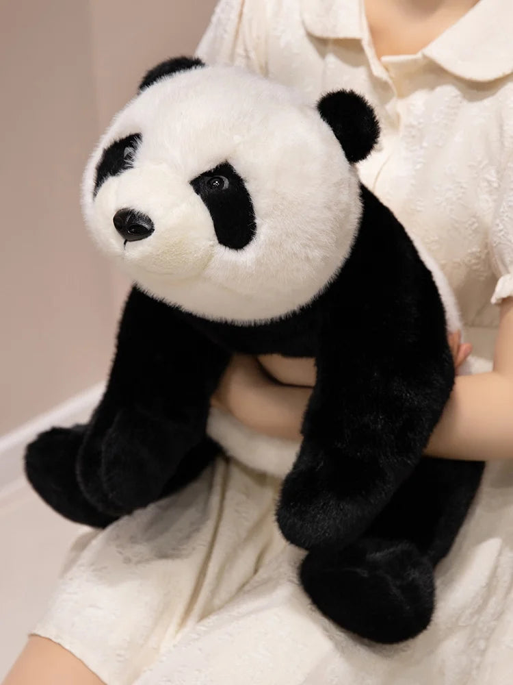 Sage your emotional shelter