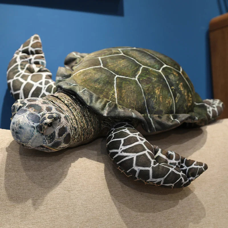 Ollie your steady light