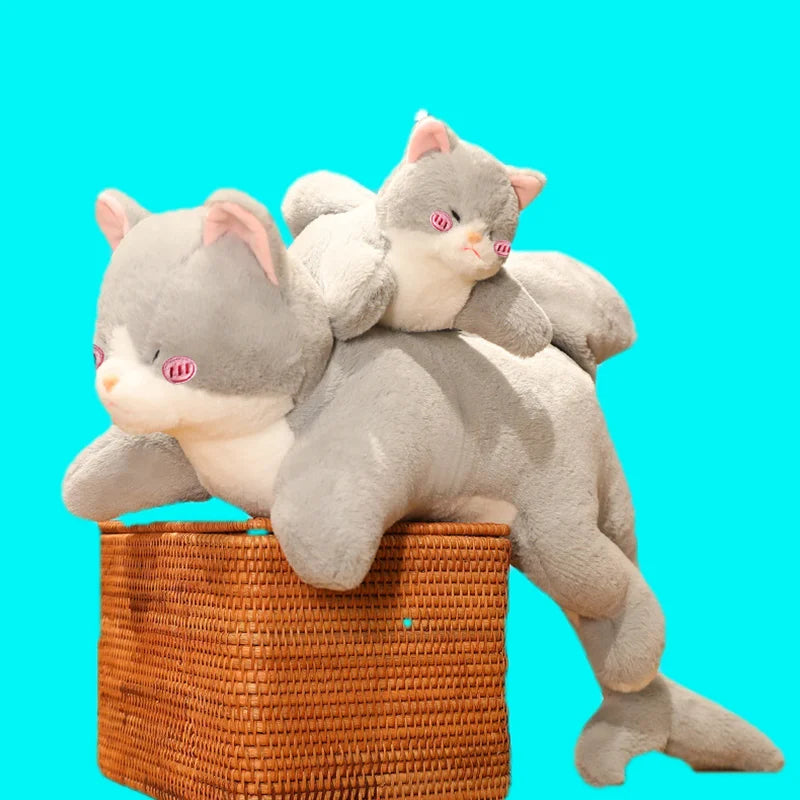 Tali your emotional shelter