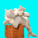 Tali your emotional shelter