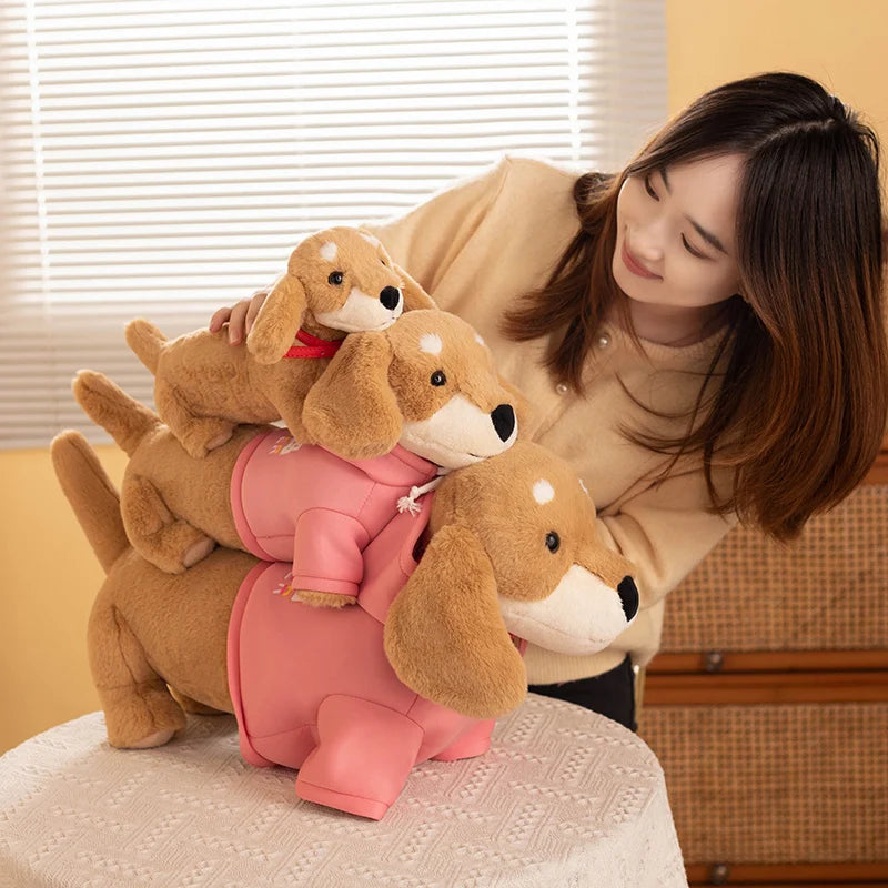 Vivi your gentle companion