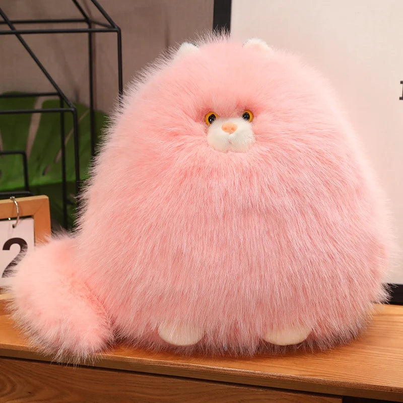 Ollie your gentle companion