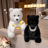 Kiwi your soft spoken voice