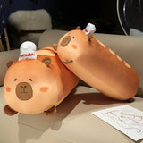 Teddy your steady light