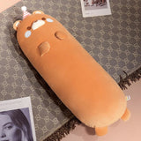 Nomi your gentle companion