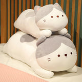 Ellie your steady light