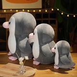 Sage your emotional shelter