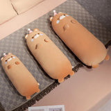 Nomi your gentle companion