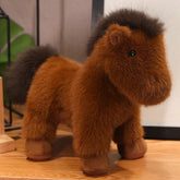 Nomi your emotional shelter