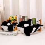 Sunny your bedtime buddy