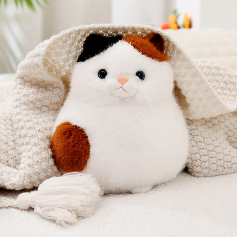 Maple your quiet anchor