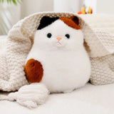 Maple your quiet anchor