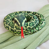 Snuggle your quiet anchor