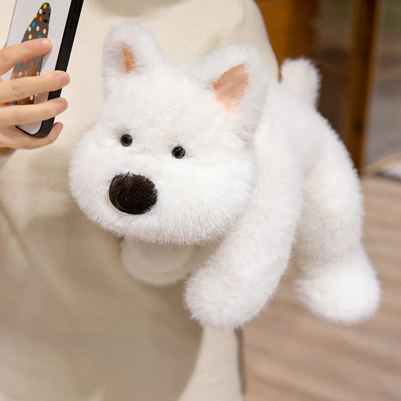 Cammie your secret keeper