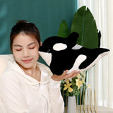 Sunny your bedtime buddy