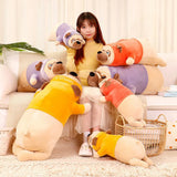 Nova your quiet anchor