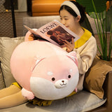 Bee your quiet anchor