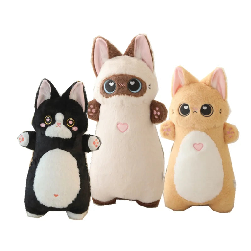 Fern your quiet anchor