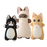 Fern your quiet anchor