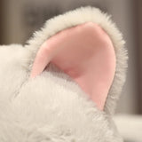 Tali your emotional shelter