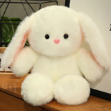 Luna your gentle companion