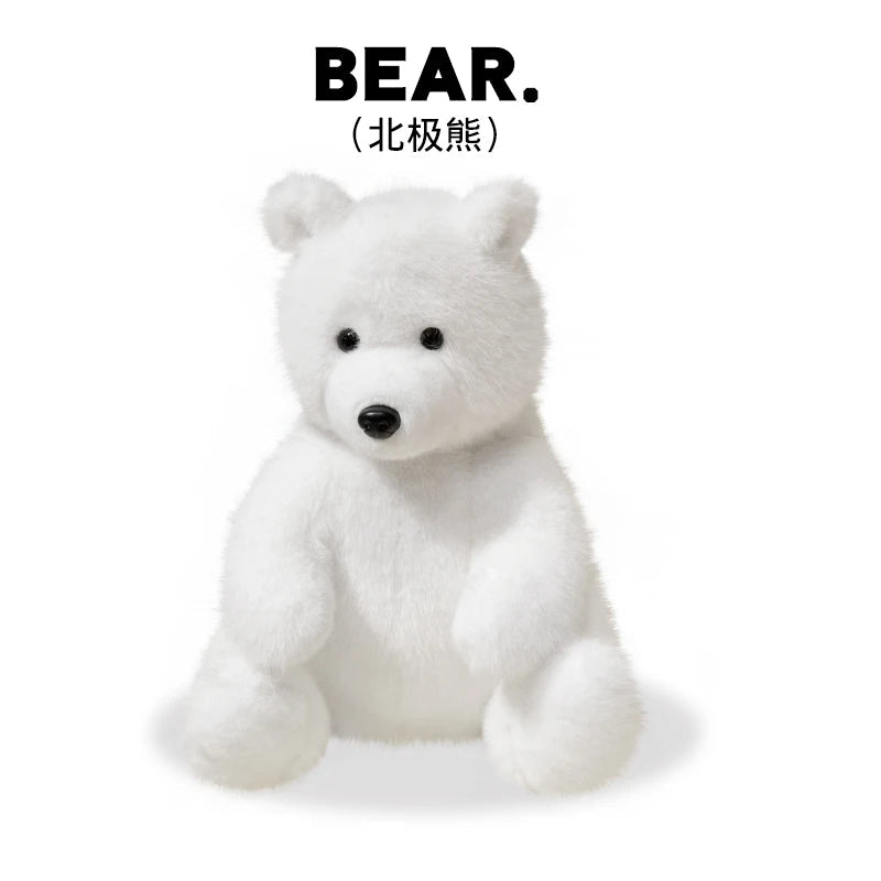 Kiwi your soft spoken voice