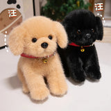 Leo your emotional shelter