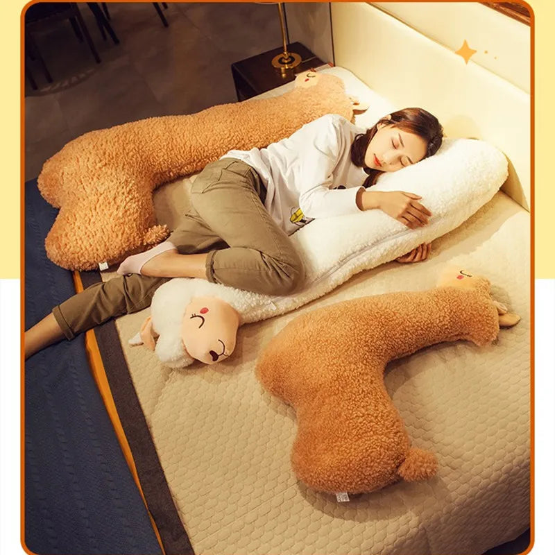 Poppy your quiet anchor