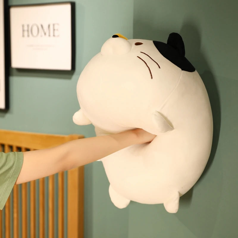 Kiwi your bedtime buddy