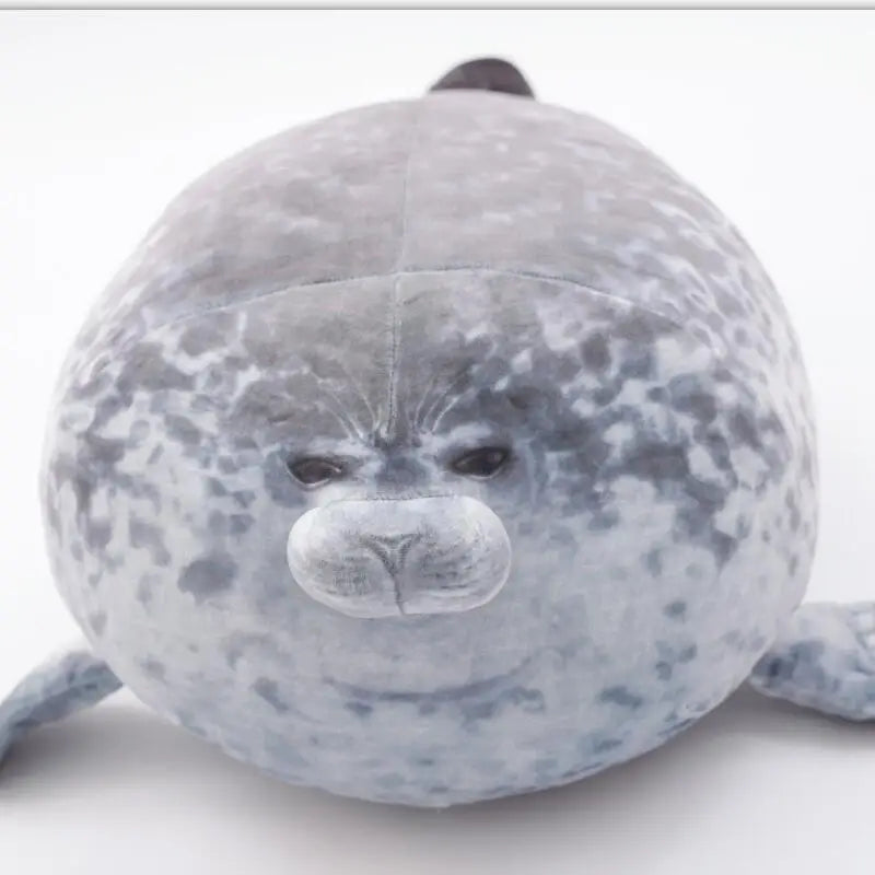 Ollie your emotional shelter