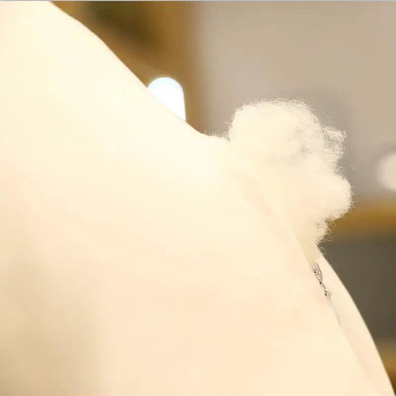 Teddy your steady light