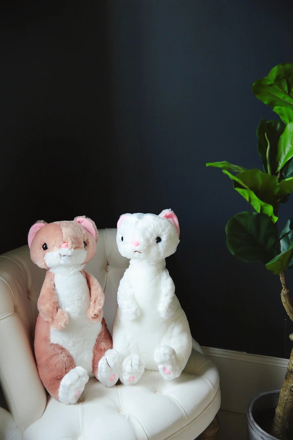 Zeke your bedtime buddy