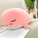 Snuggle your quiet anchor