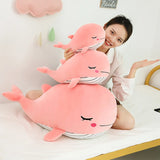 Snuggle your quiet anchor