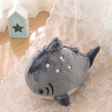 Nomi your gentle companion