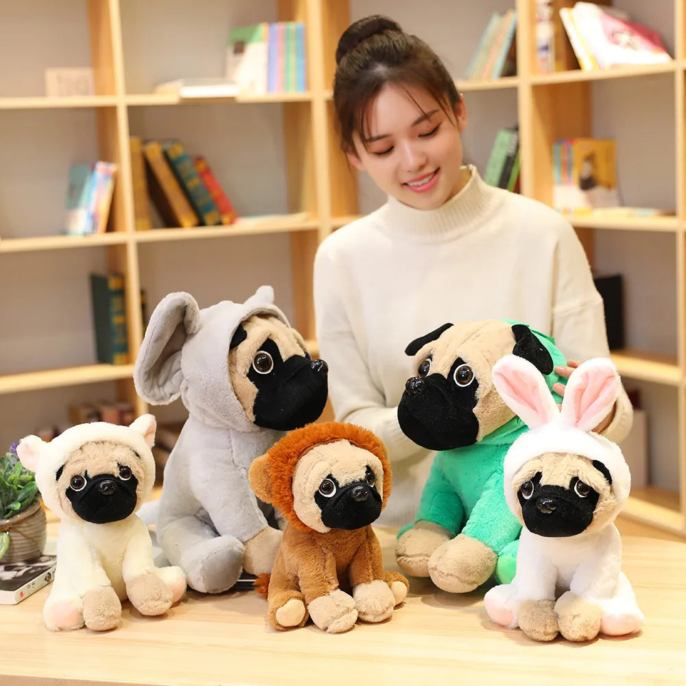 Sage your emotional shelter