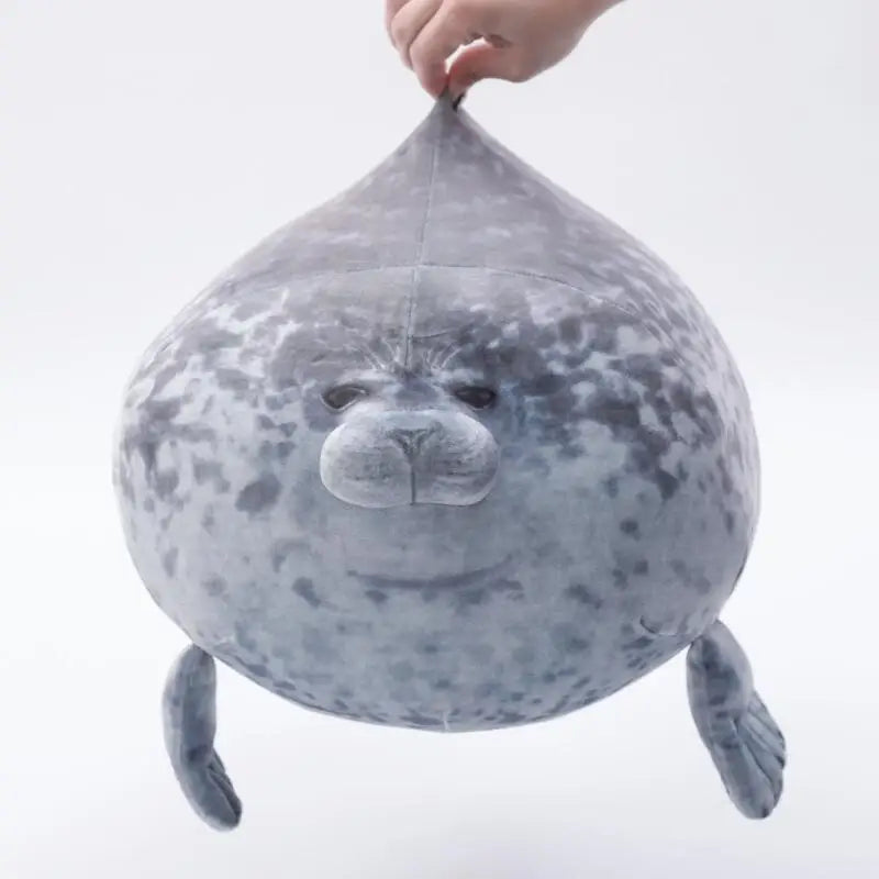 Ollie your emotional shelter