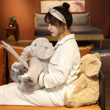 Tomo your bedtime buddy