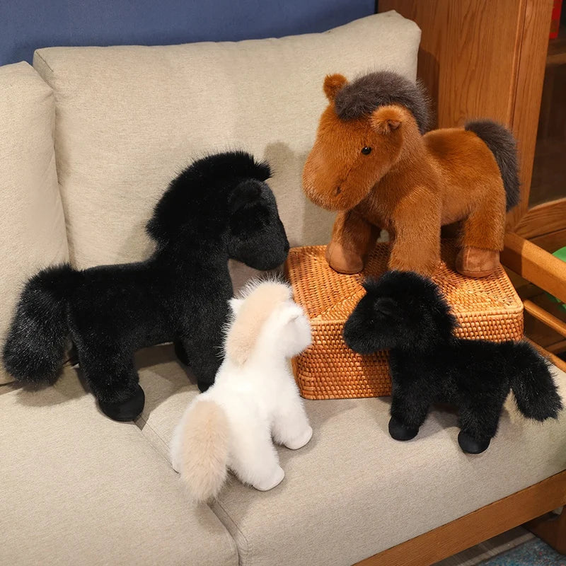 Nomi your emotional shelter